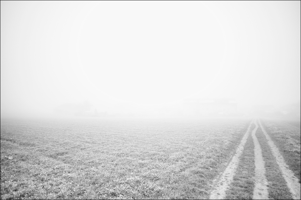20mmDSC 7519