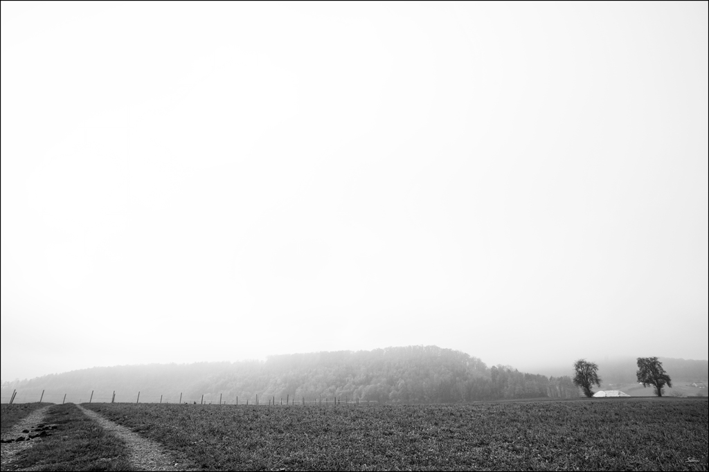 20mmDSC 7524