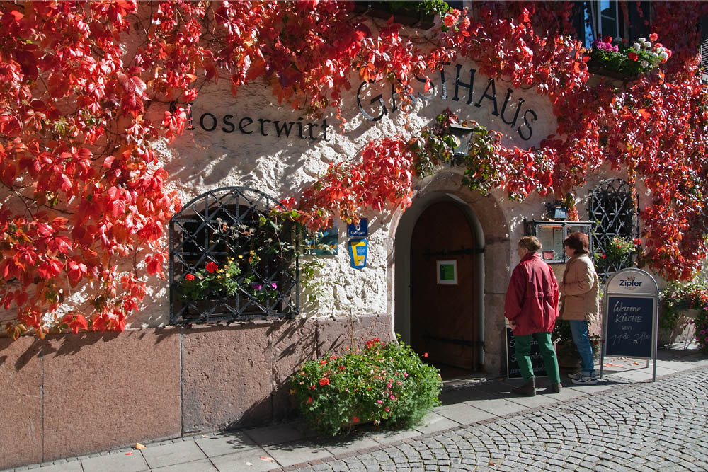 2101011 1980 MoserWirt Goisern