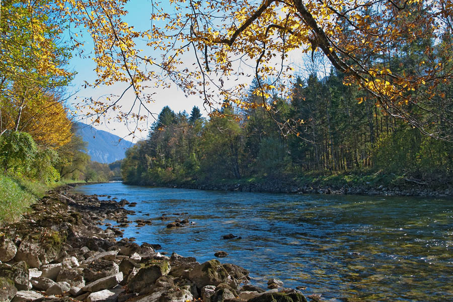 2101011 1983 Traun Goisern