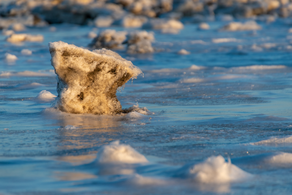 210213 Fedderwardersiel-19.jpg