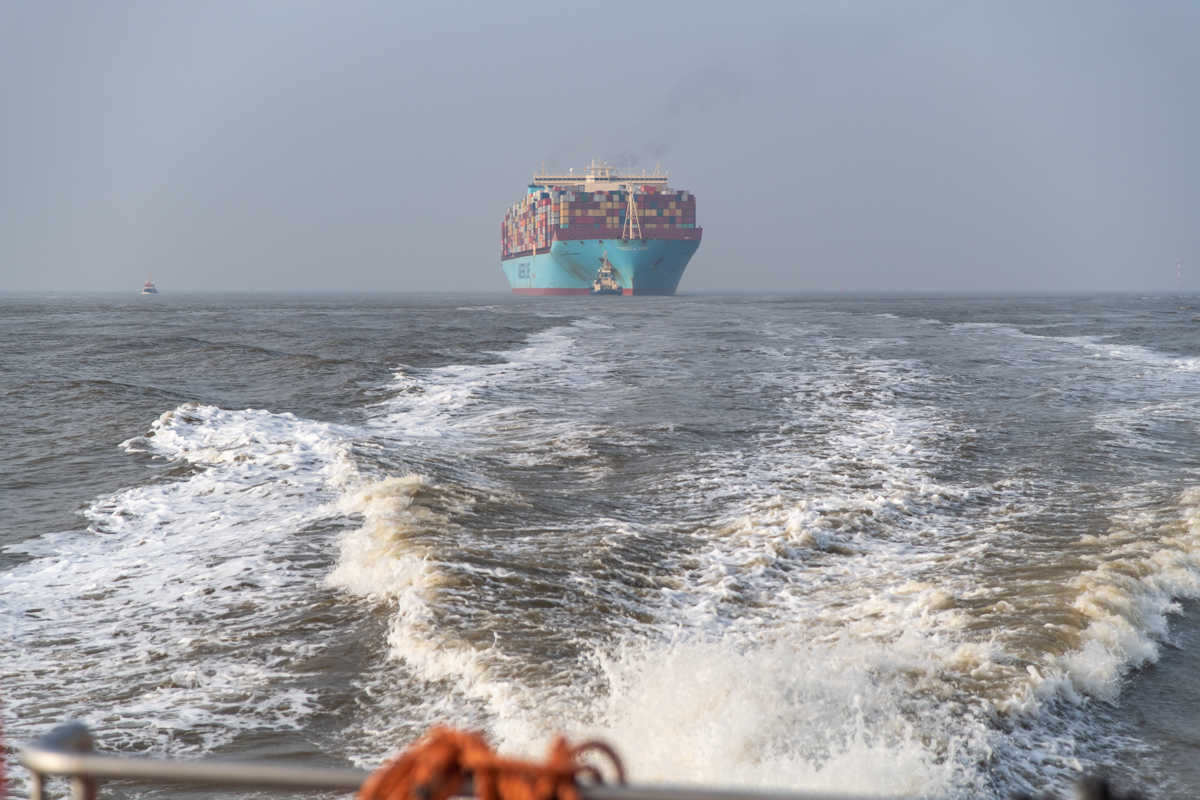 210303 Majestic Maersk Odyssey of the Seas-9.jpg