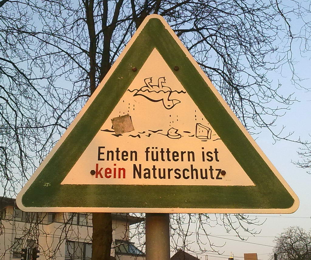 21032012558 b Bildgröße ändern