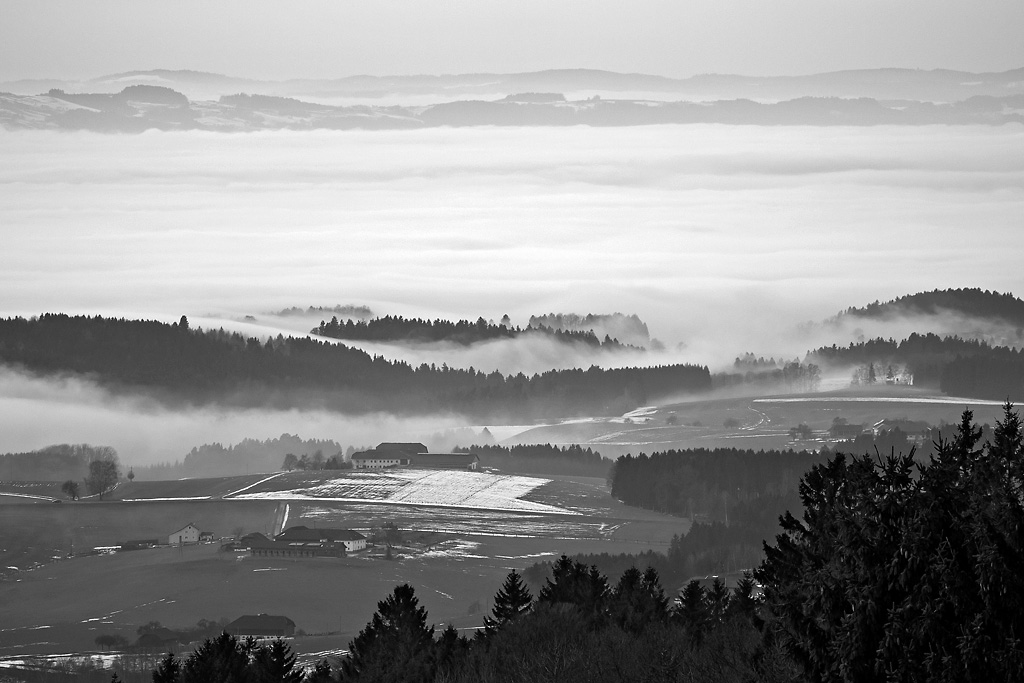 2121225 7409 sw Eidenberg Alm Nebel