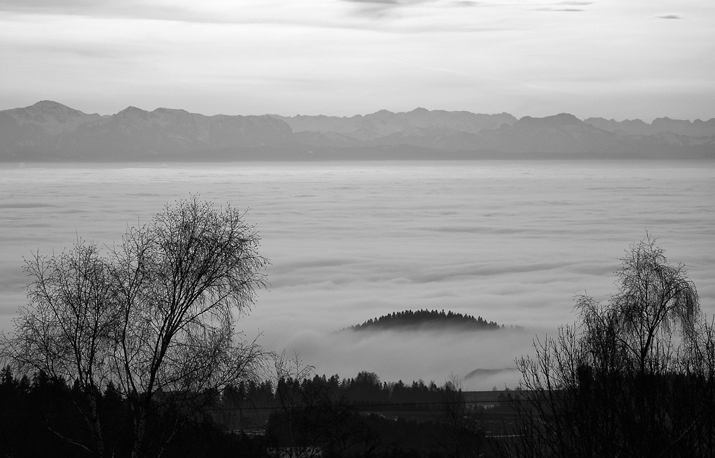 2121225 7420 sw Eidenberg Alm Nebel