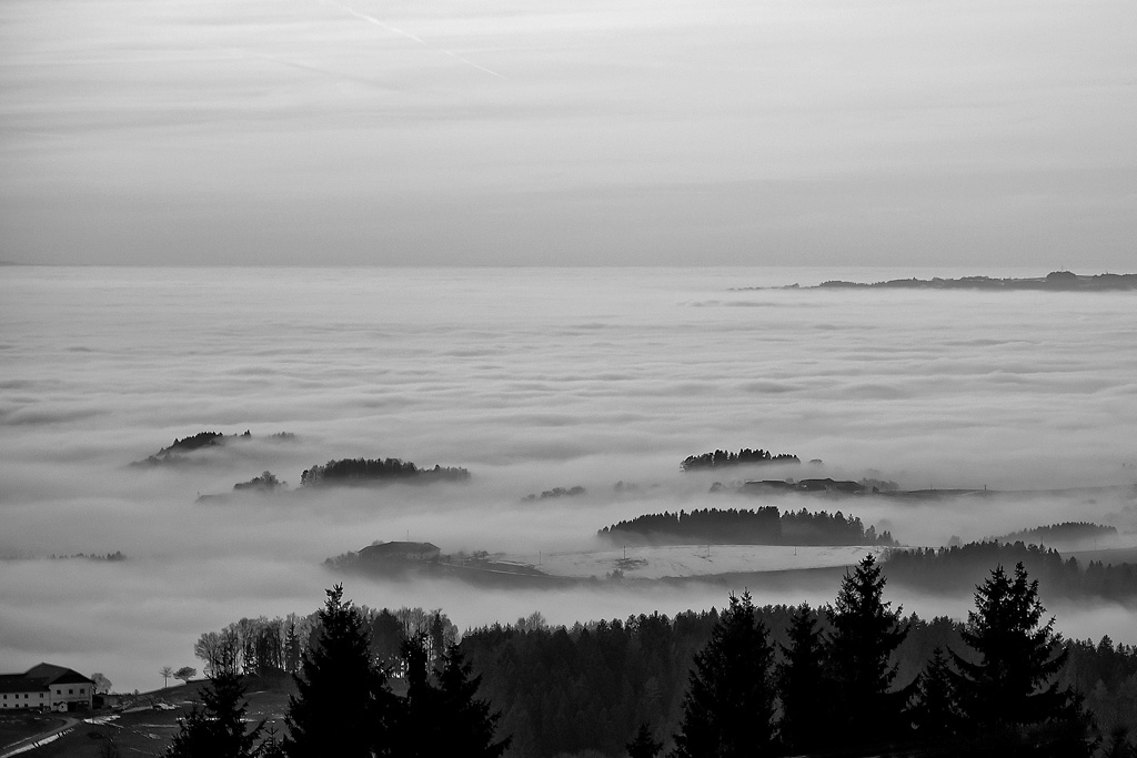 2121225 7425 swb Eidenberg Alm Nebel