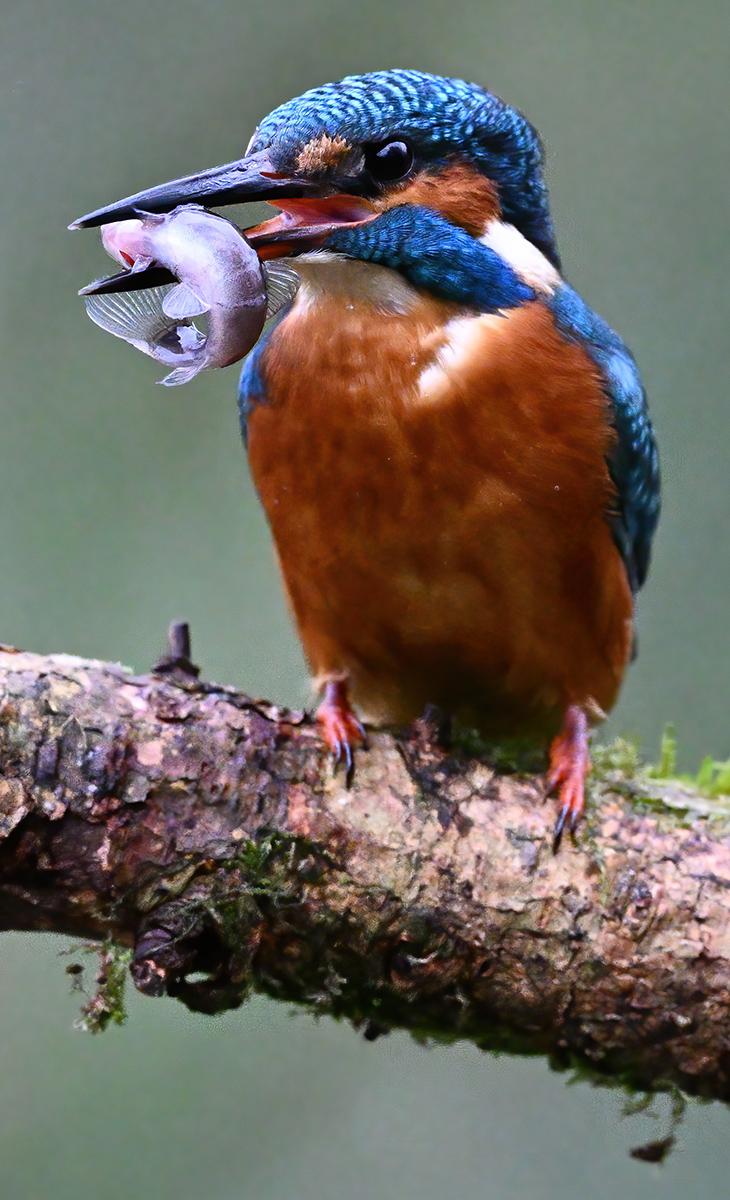 22 400mm f-5.6.JPG