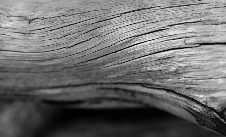 224/365