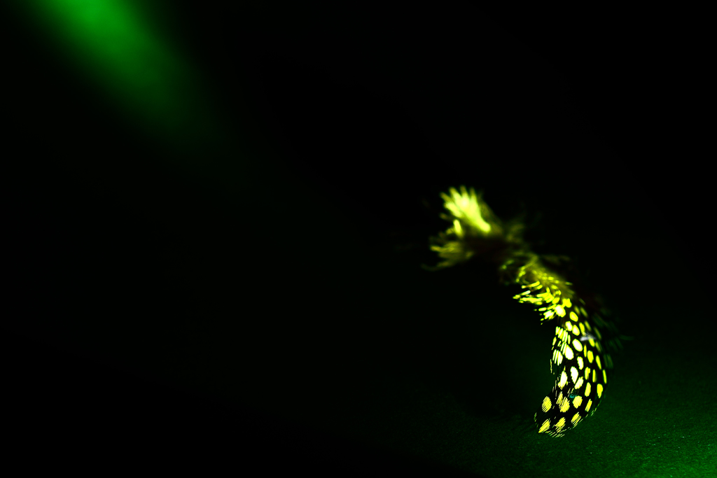 23/365