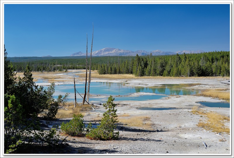 #23 Norris Geyser Basin