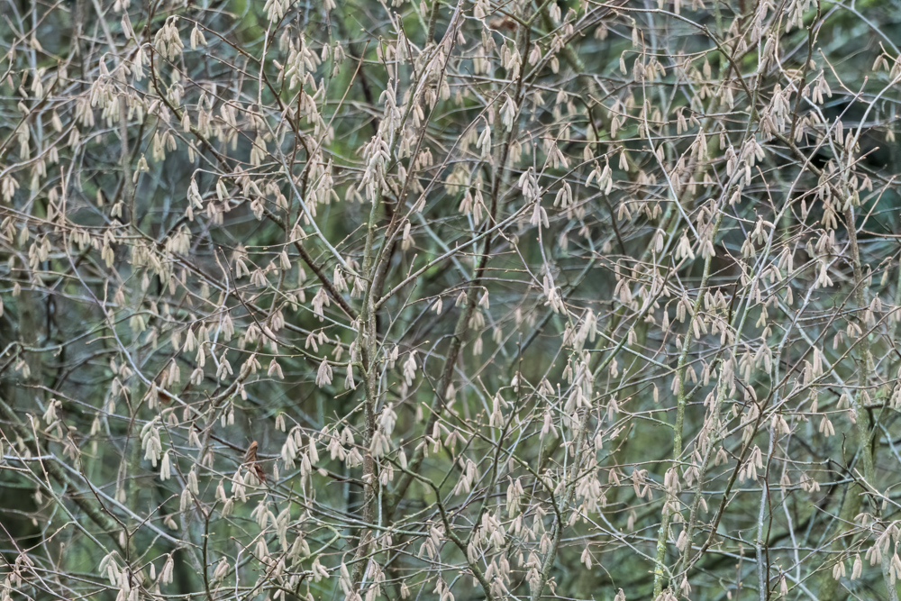 230107-134.jpg