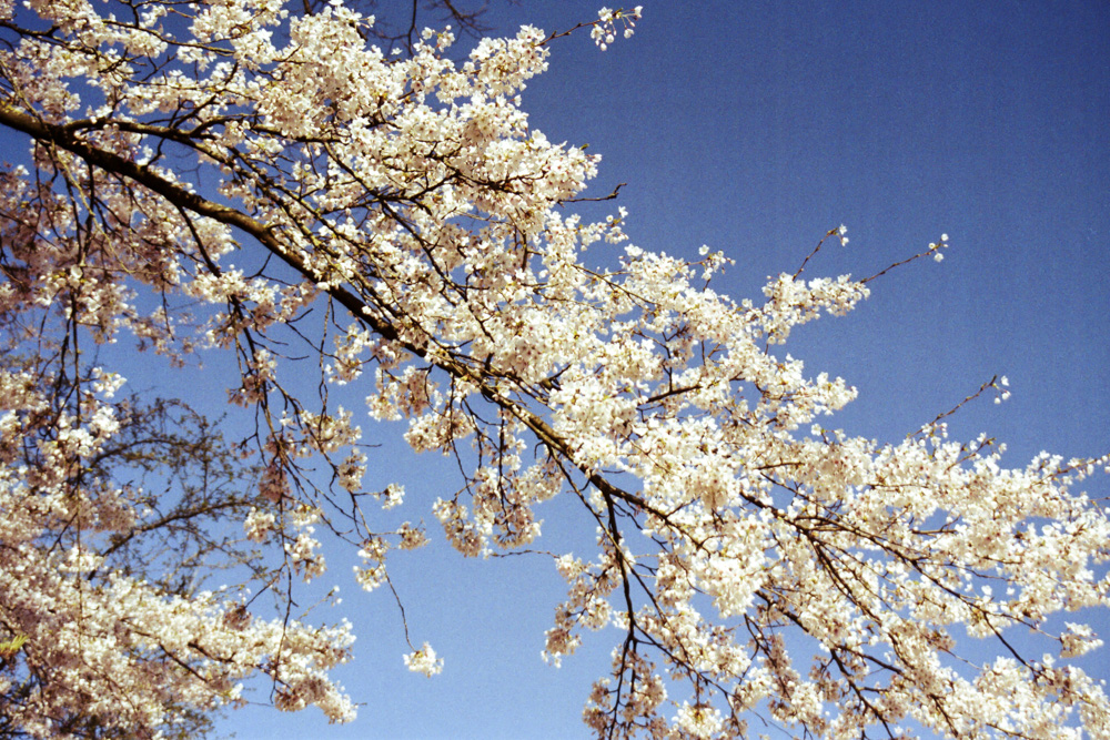 230504-016.jpg