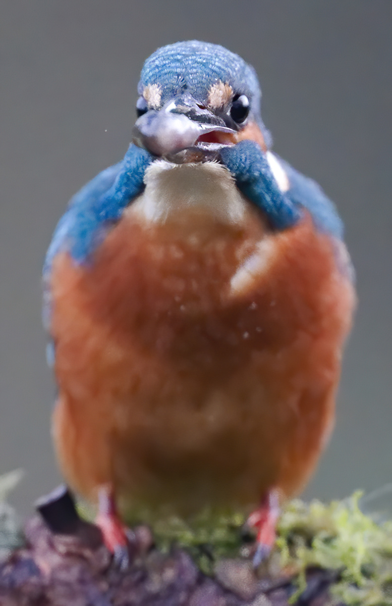 24 400mm f-2.8.jpg