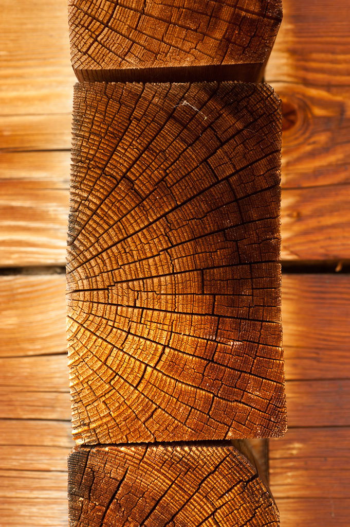 24 Holzstruktur