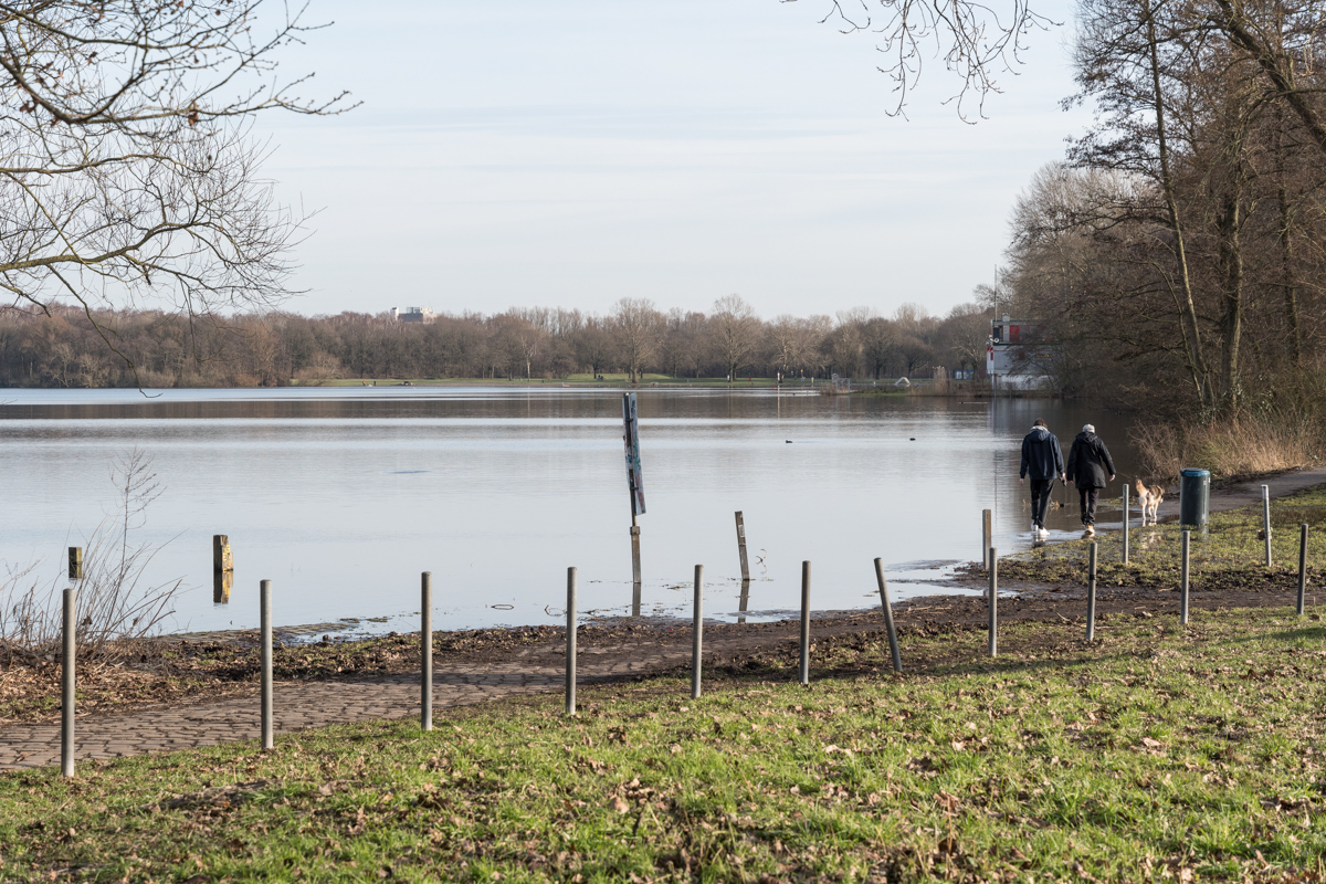 240129-007.jpg