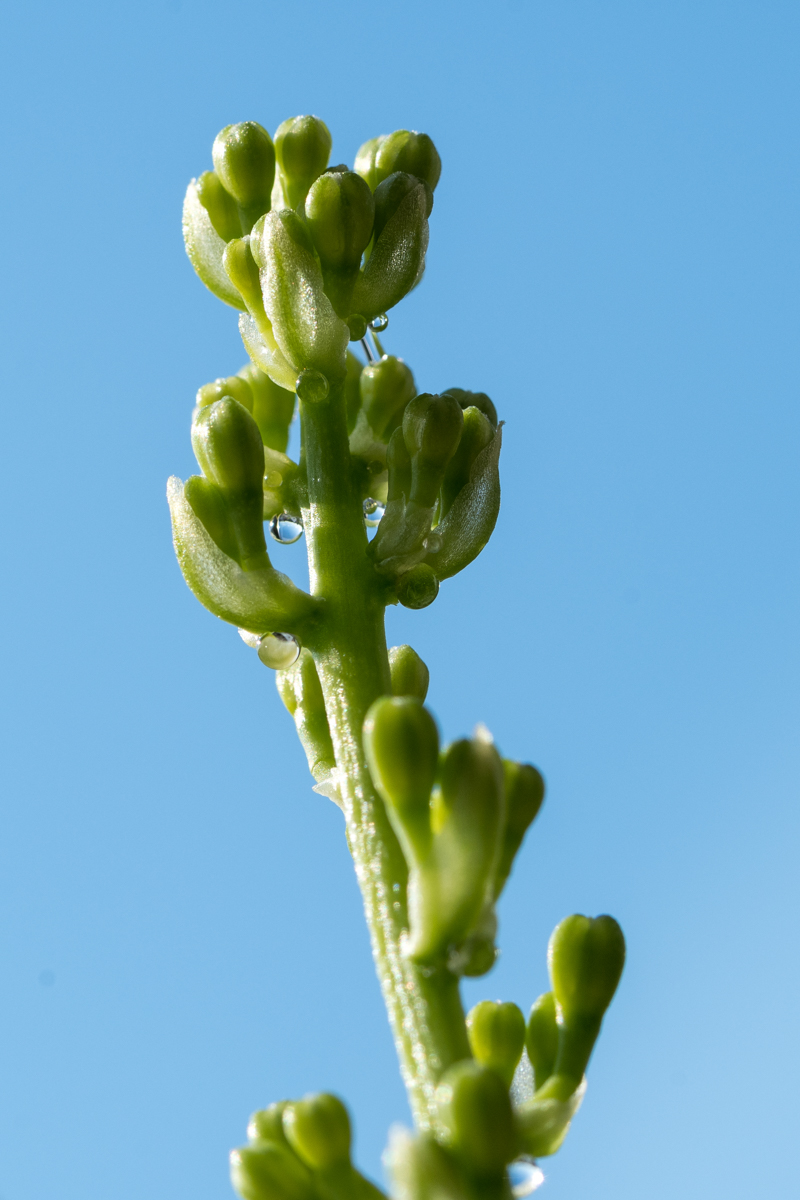 240528-005.jpg