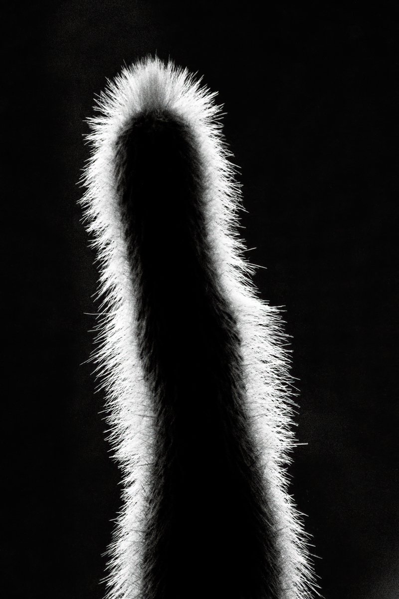 240718-001.jpg