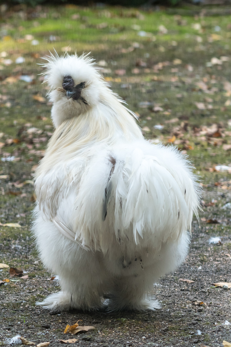 240810-008.jpg