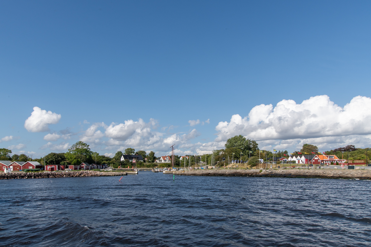 240825 Täglich-1.jpg