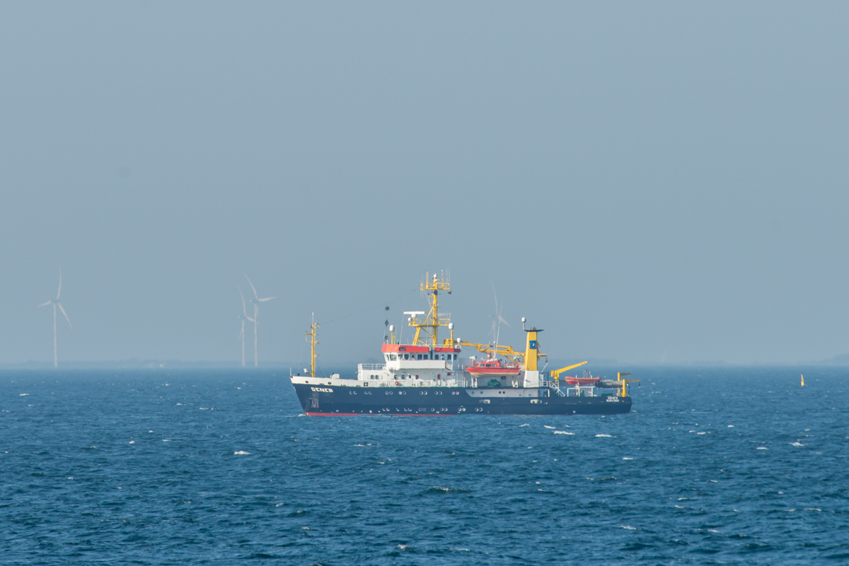 240907 Schiffe-1.jpg