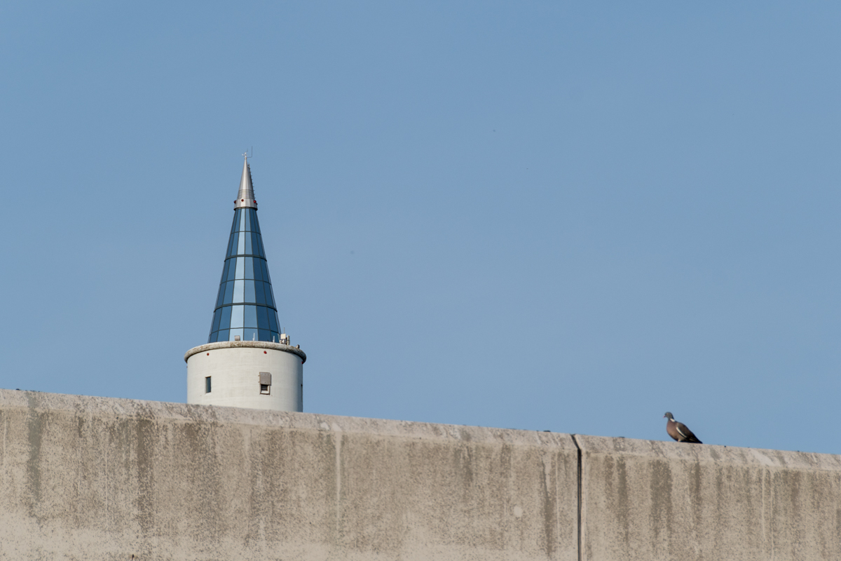 240917-019.jpg