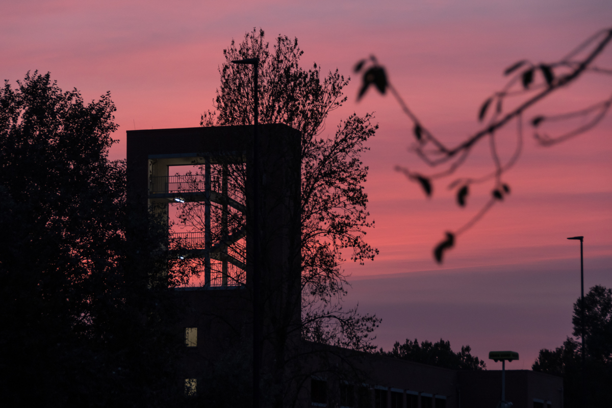 240917-020.jpg