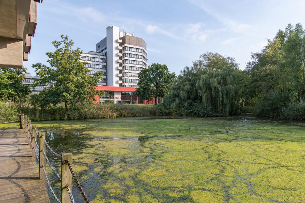 240917 Nikon Stammtisch-10.jpg