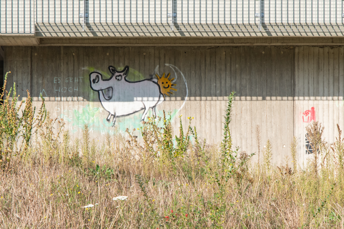 240917 Nikon Stammtisch-9.jpg