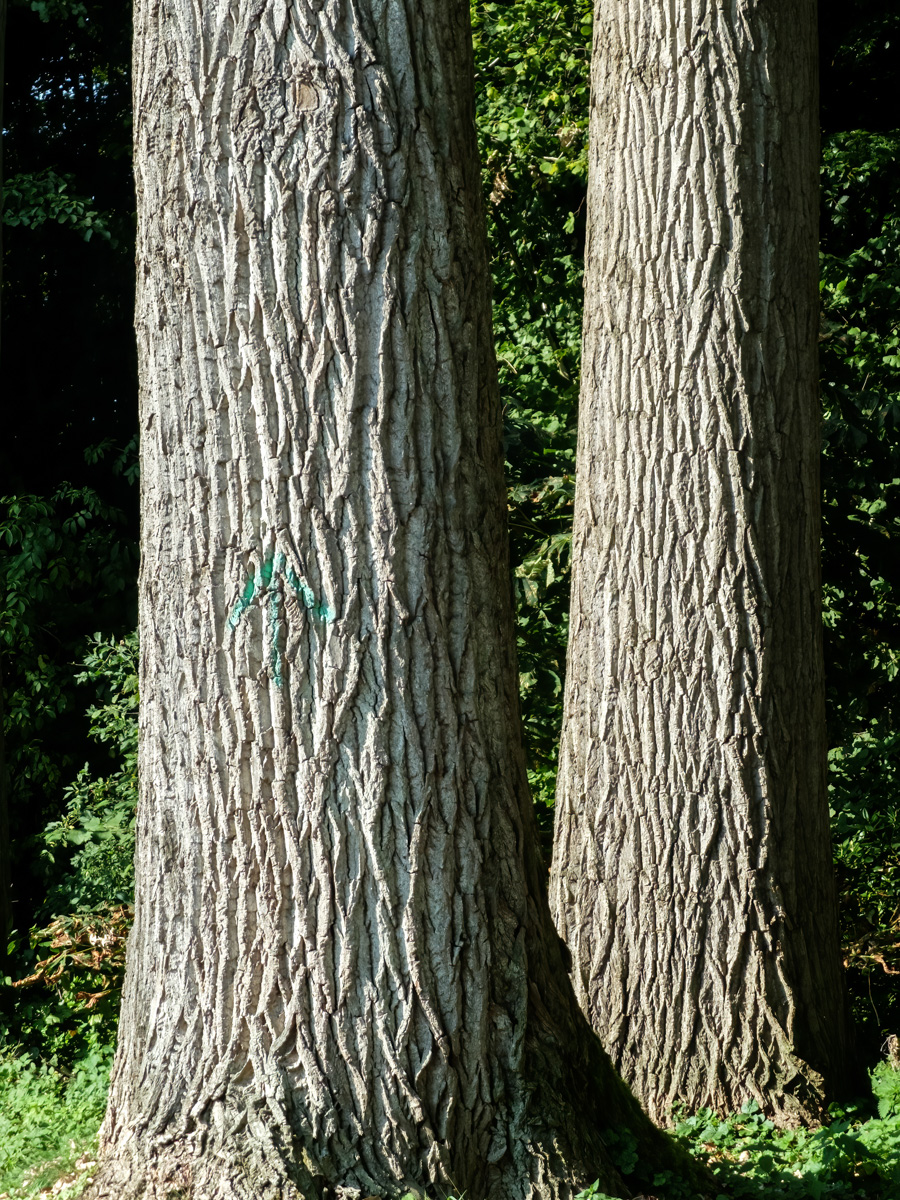 240920-001.jpg