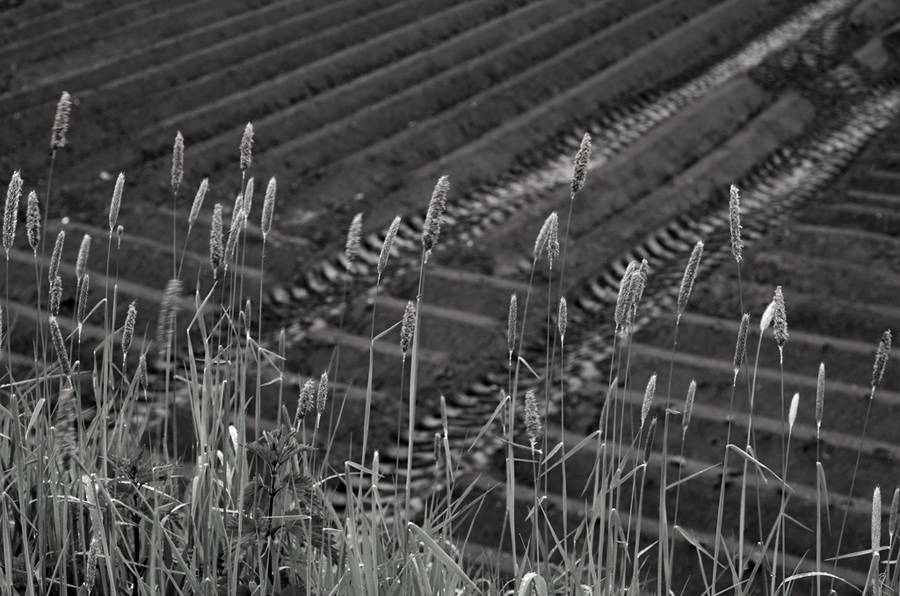 2430900landschsw
