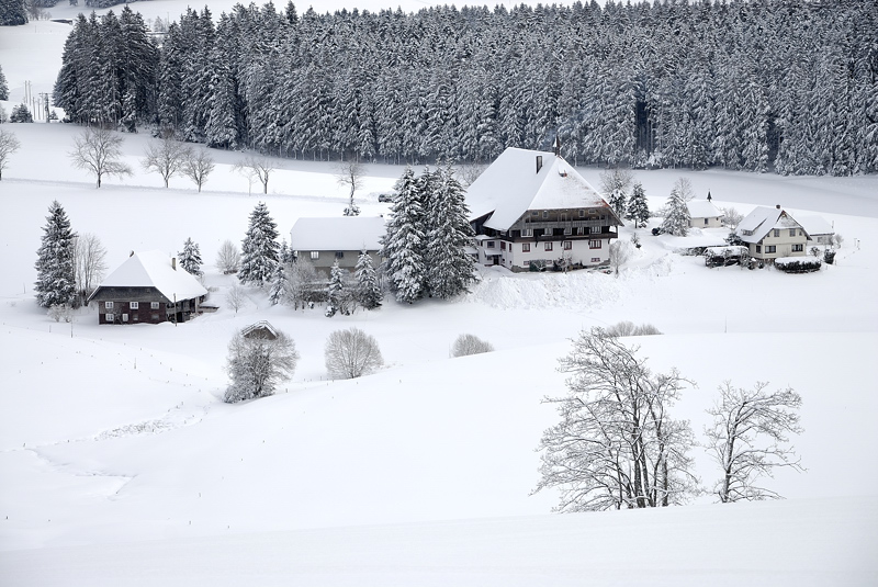24419 Fallerhof
