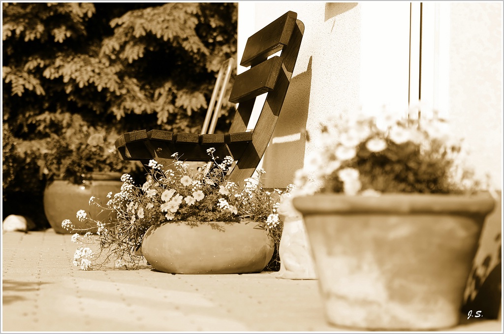 249 DSC 1850 6278 DxO