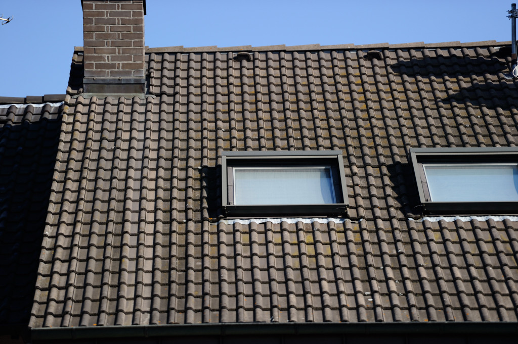 25 1  2.8 DSC 0697 01