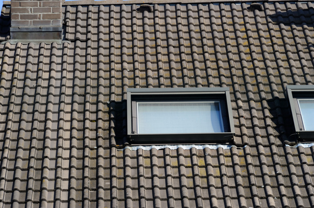 25 1.4  8 DSC 0694 01 01