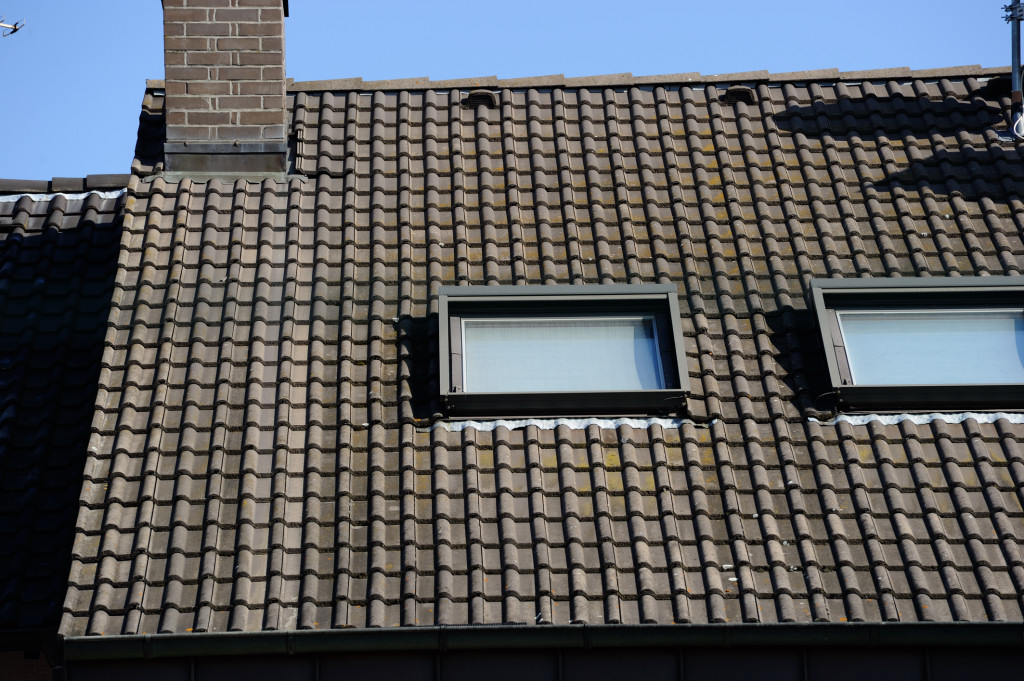 25 1  8 DSC 0699 01
