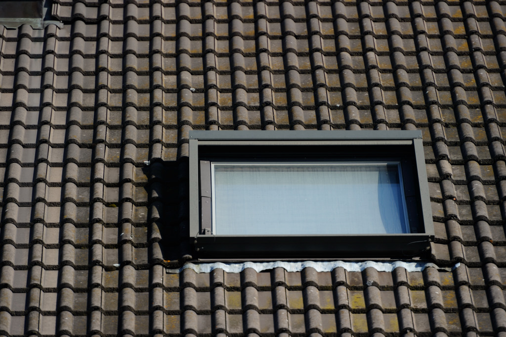 25 2.0 5.6 DSC 0687 01