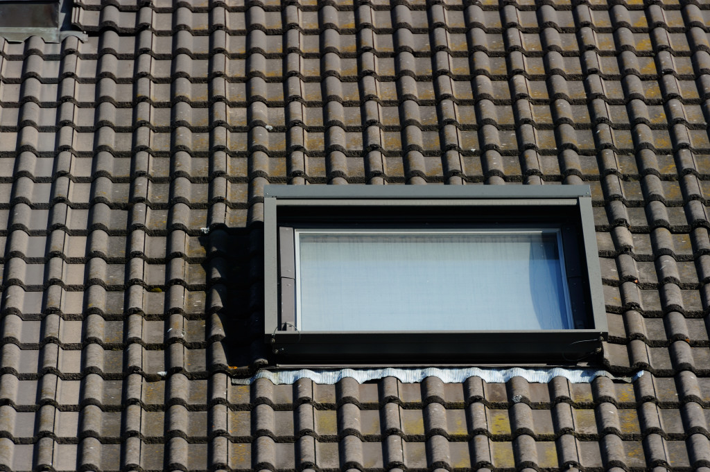 25 2.0 8 DSC 0689 01