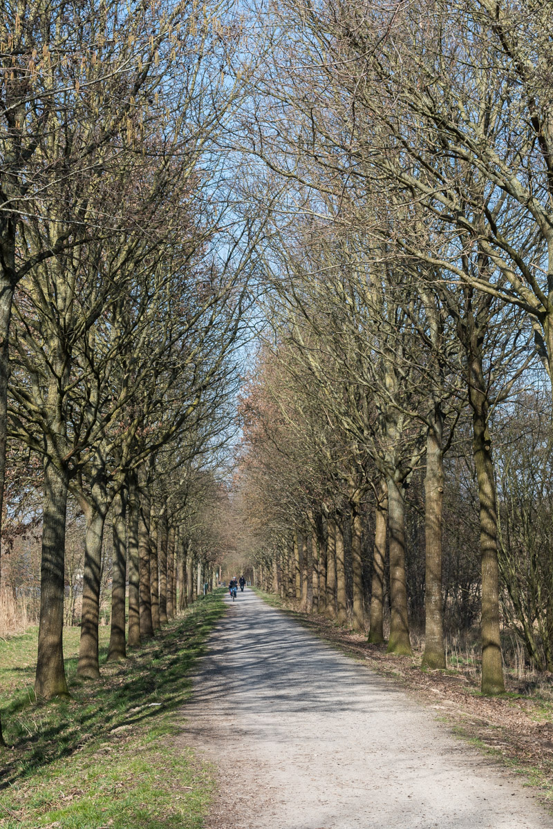 250308-001-2.jpg
