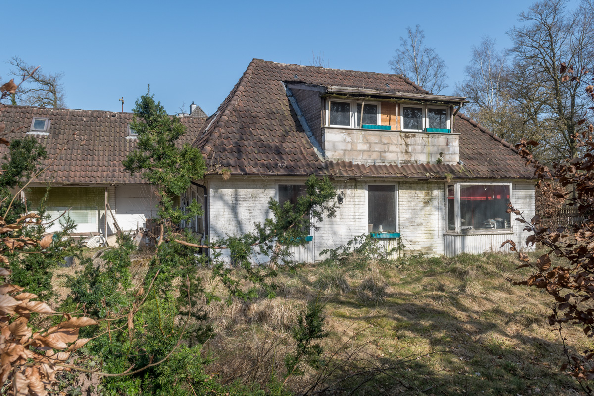 250308-006.jpg
