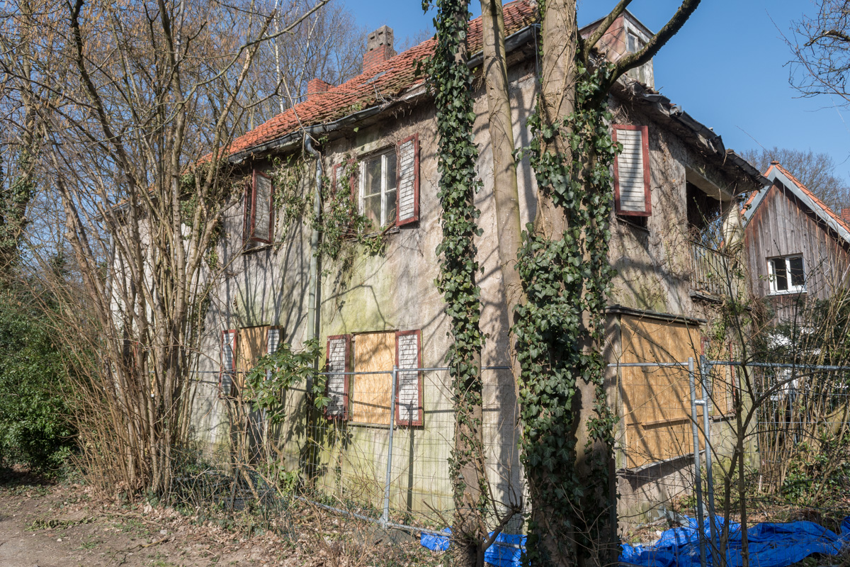 250308-009.jpg
