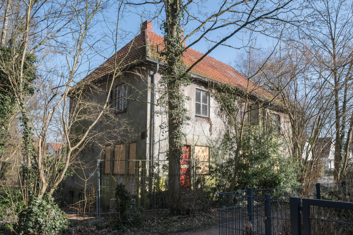 250308-010.jpg