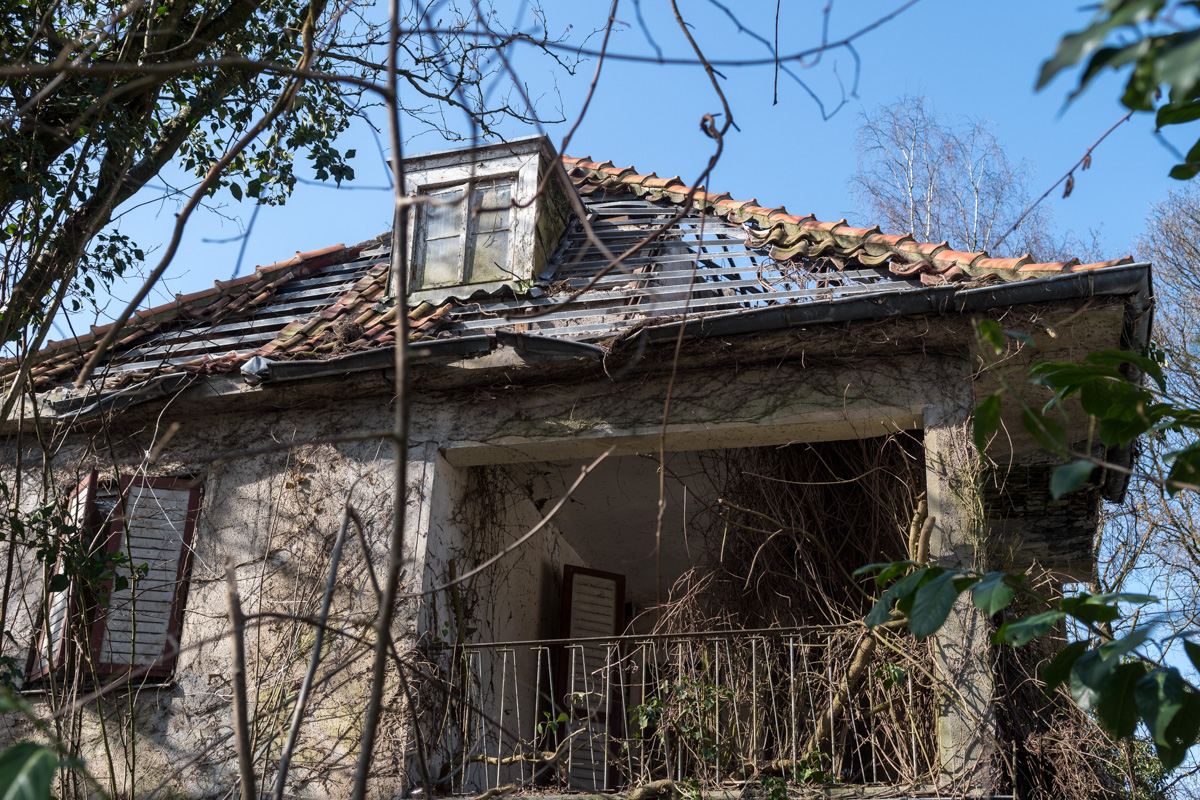 250308-015.jpg