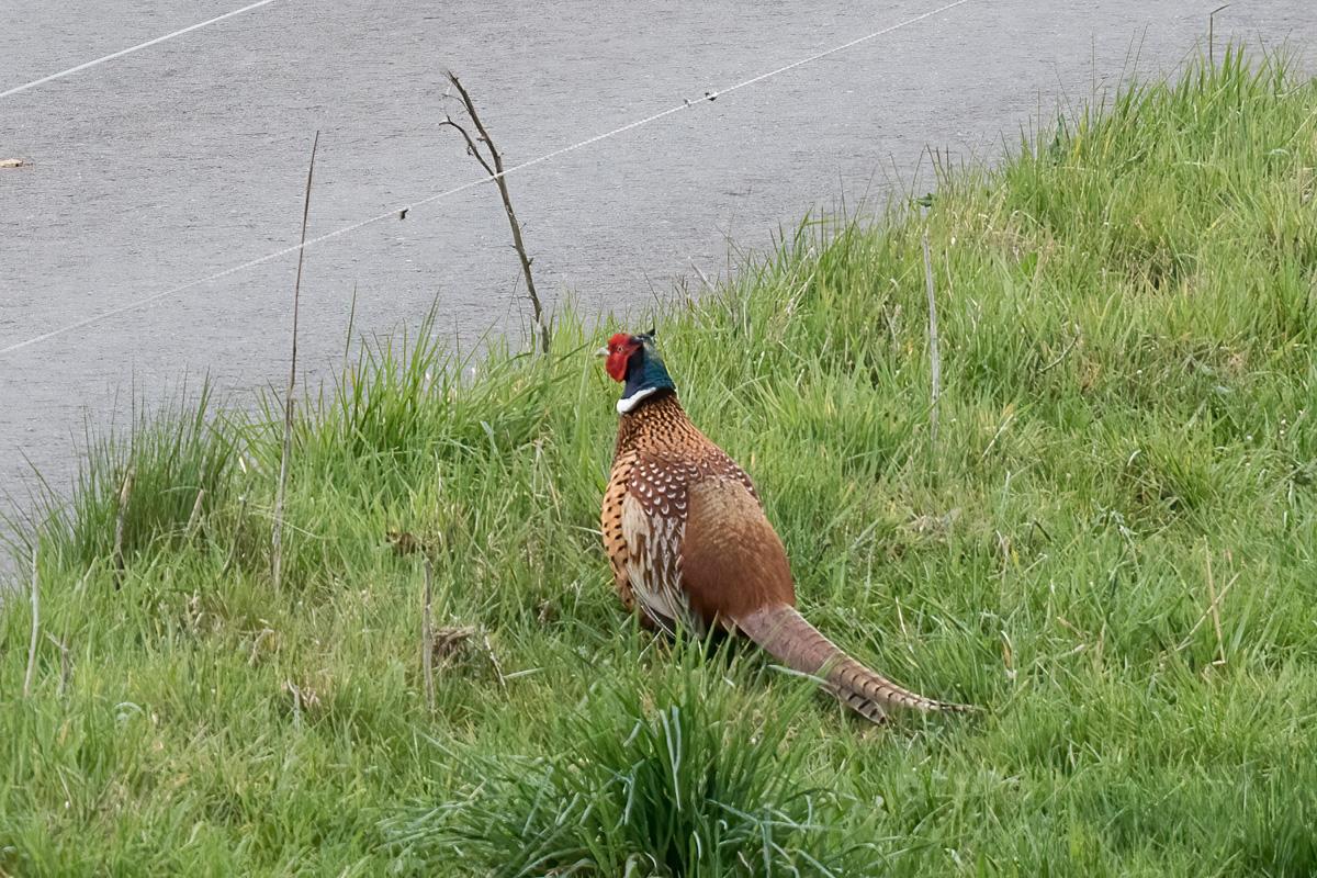 250416-004.jpg