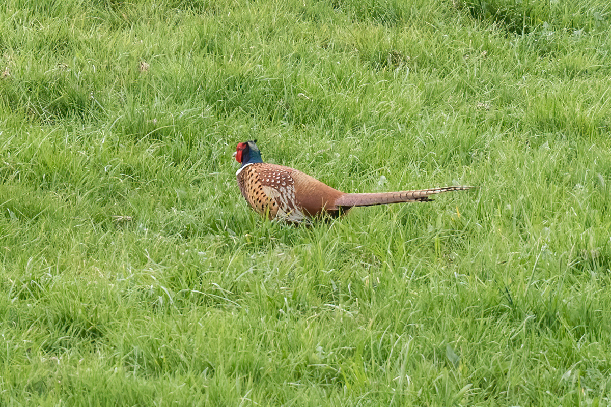 250416-007.jpg