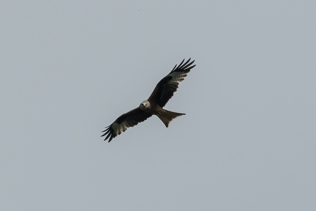 250416-009.jpg