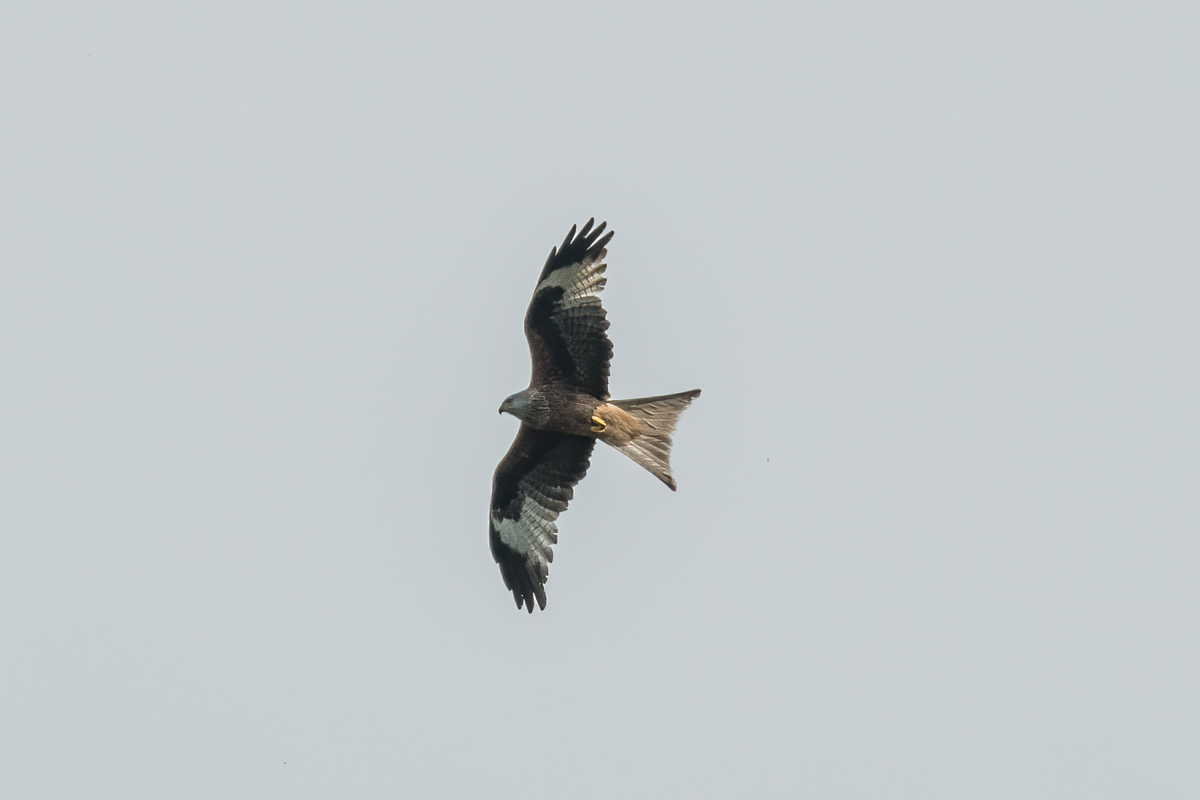 250416-010.jpg