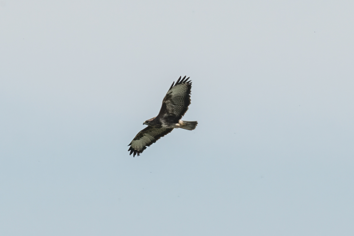 250416-011.jpg