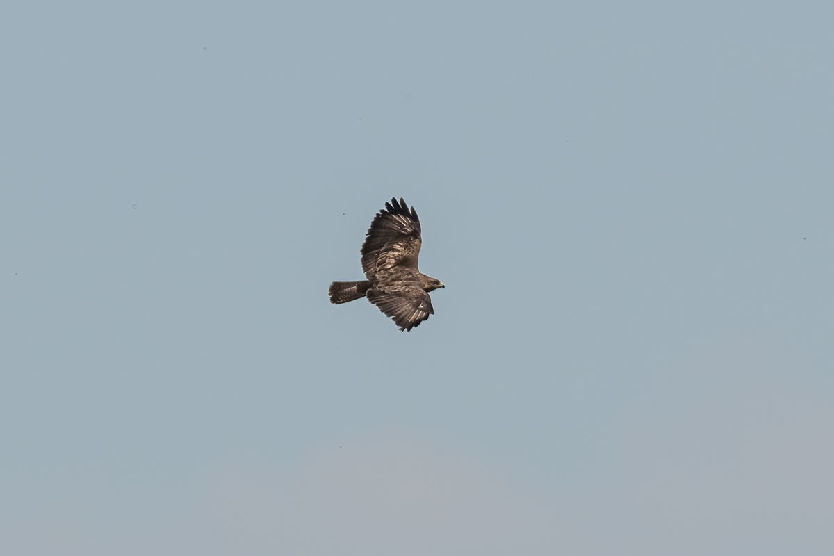 250416-013.jpg