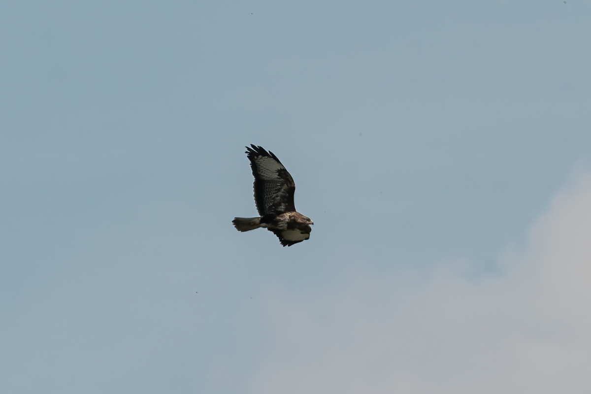 250416-014.jpg
