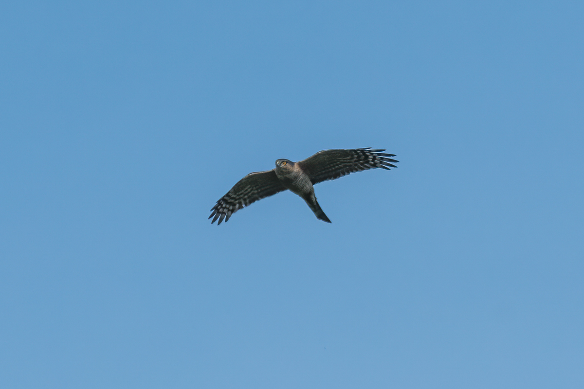250416-017.jpg